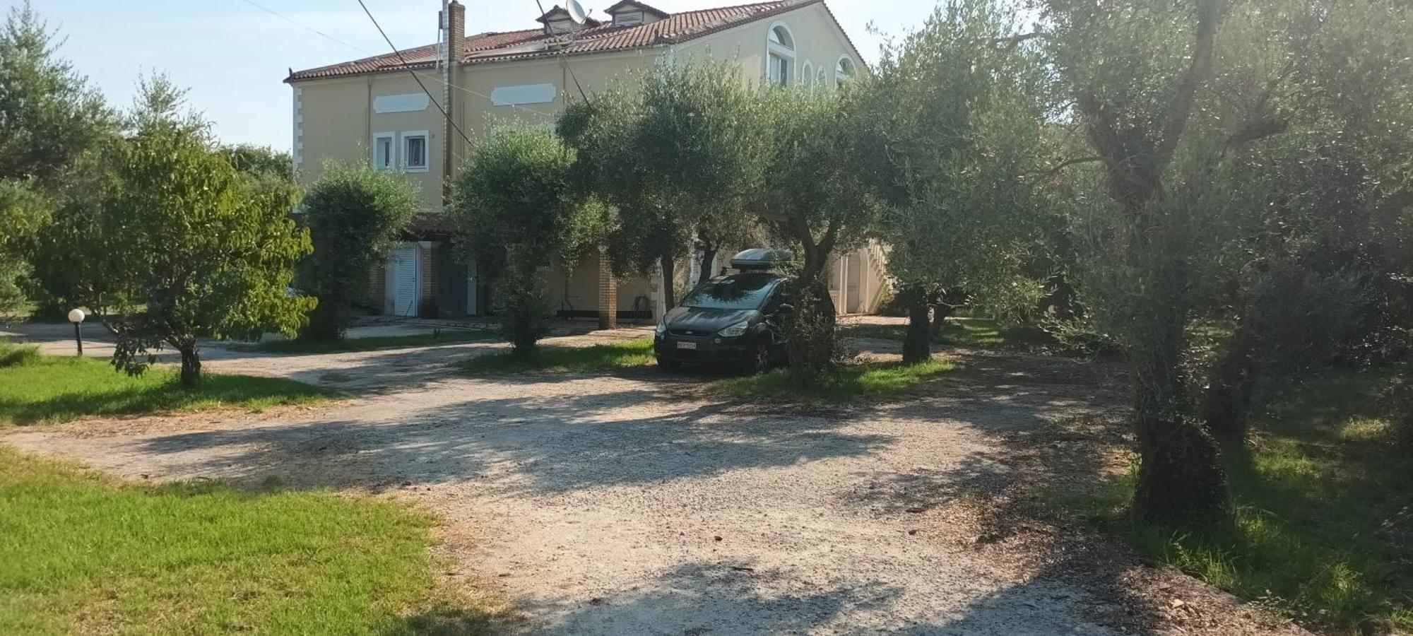 Ferienwohnung Antonios Olive Garden Acharavi Kerkyra Exterior foto